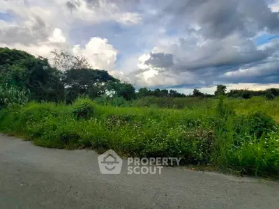 Expansive green land with lush vegetation under dramatic cloudy skies, perfect for development.