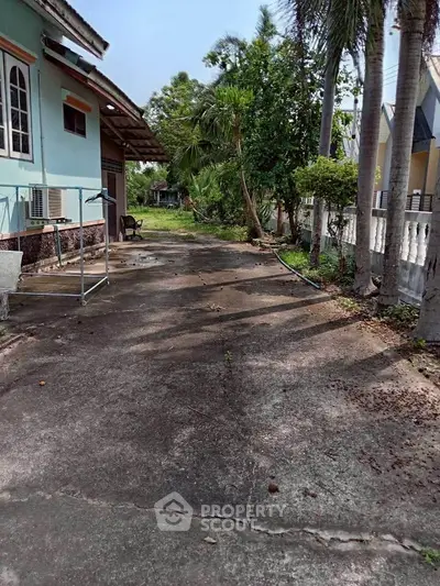 Spacious driveway leading to a charming house with lush greenery and palm trees.