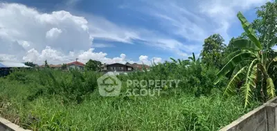 image_rental-27263709