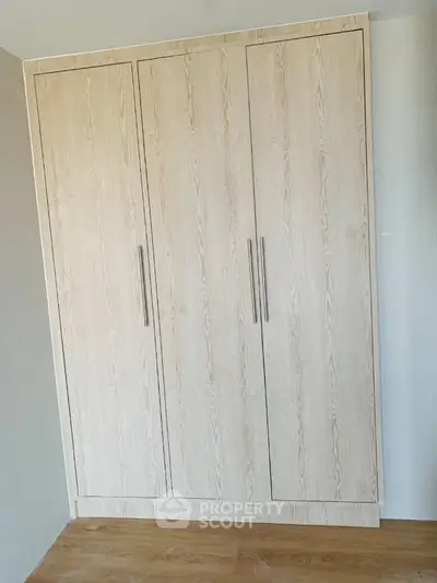 Spacious built-in wooden wardrobe in modern bedroom interior
