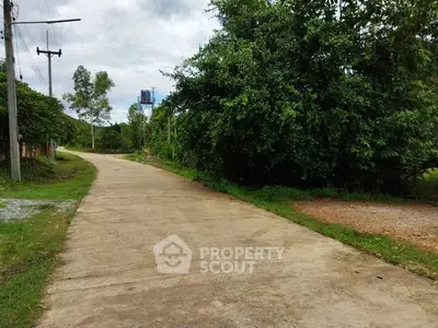 Scenic rural road with lush greenery and clear sky, perfect for tranquil living.