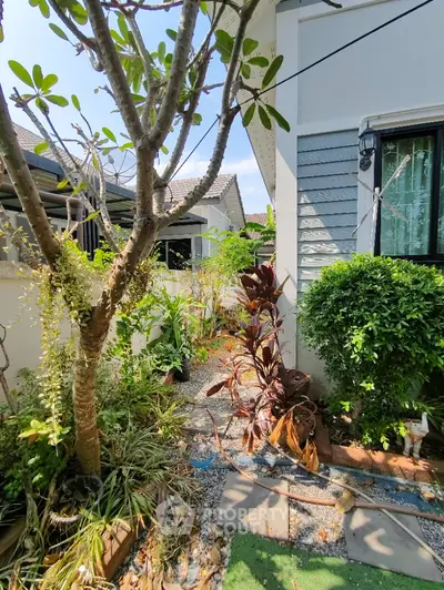 Charming garden pathway beside a modern house with lush greenery and sunlight