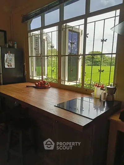Charming kitchen with open window view of lush green fields, featuring a sleek countertop and modern appliances.