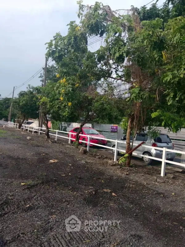 image_rental-30567983