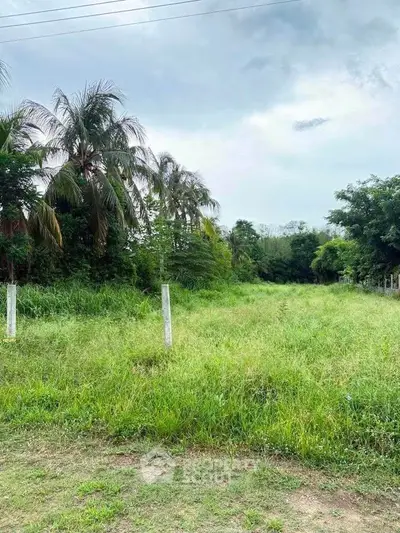 Expansive green land plot with lush trees, perfect for development or investment opportunities.