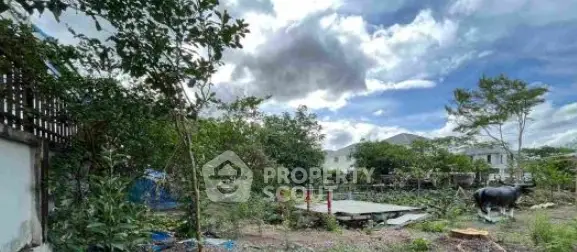 image_rental-22324562