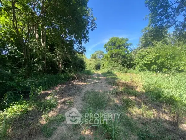 image_rental-16466768