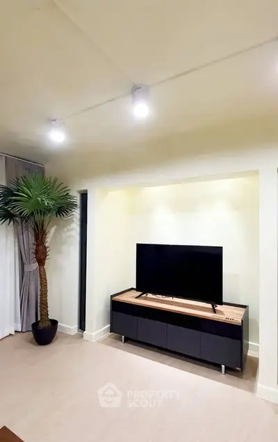 Modern living room with sleek TV stand and indoor palm tree, perfect for stylish urban living.