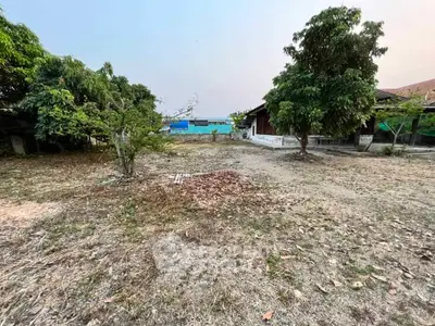 Spacious outdoor area with mature trees and potential for landscaping, ideal for development or gardening.