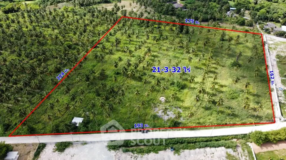 Expansive plot of land with lush greenery and clear boundary markings, ideal for development opportunities.