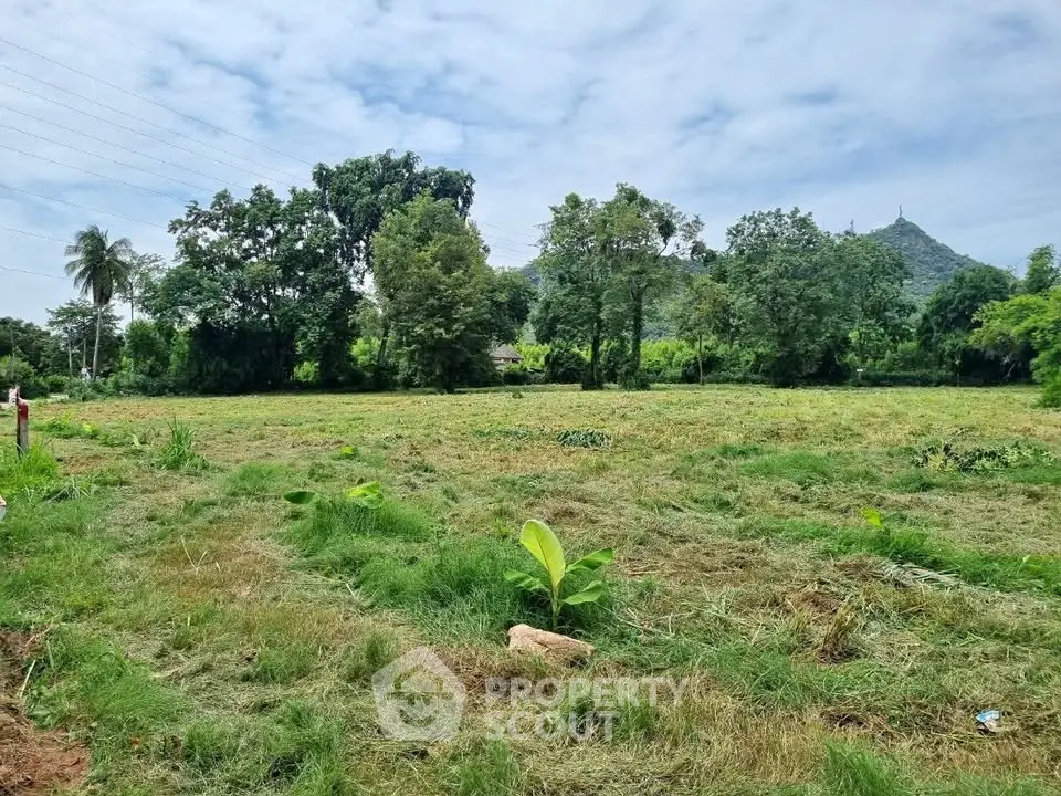 Expansive green land with scenic mountain views, perfect for development or investment opportunities.