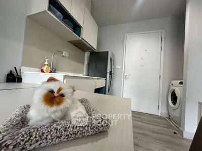 Modern kitchen with sleek appliances and cozy decor