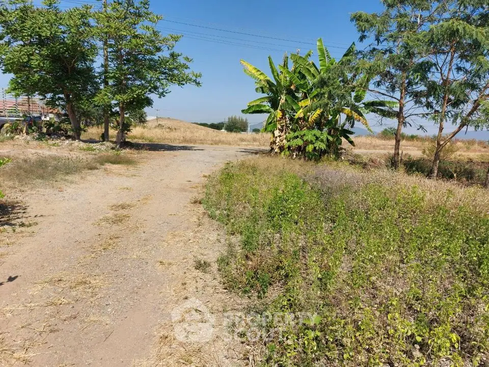 Expansive plot of land with lush greenery and clear blue sky, perfect for development opportunities.