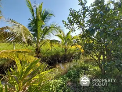 Lush tropical garden with vibrant greenery and palm trees under clear blue sky