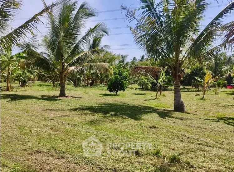 Lush tropical garden with palm trees and manicured lawn, perfect for serene outdoor living.