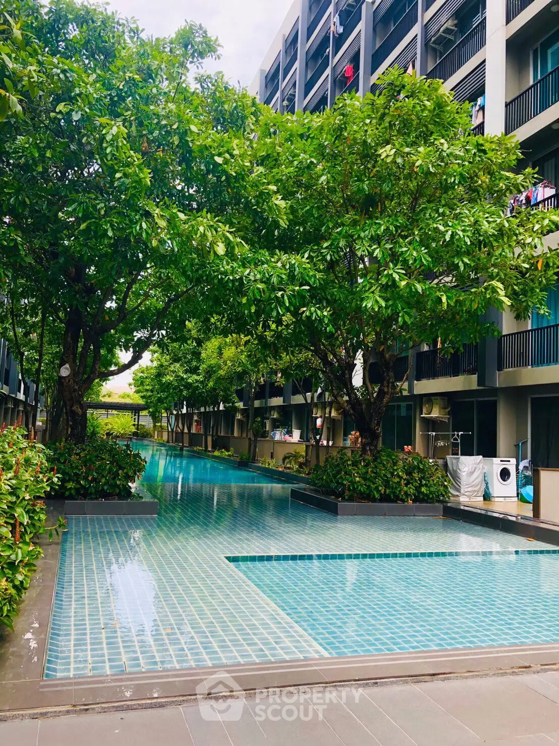 Luxurious apartment complex with serene pool and lush greenery, perfect for relaxation and leisure.