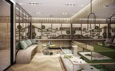 image_rental-27193193