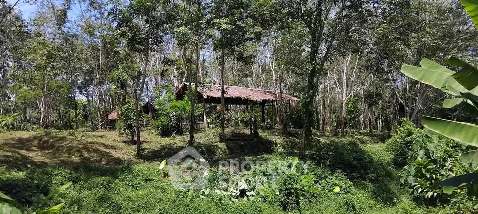 Charming rustic cabin nestled in lush forest setting, perfect for nature lovers seeking tranquility.