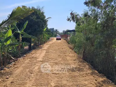 Expansive dirt road leading to a secluded property, surrounded by lush greenery and tropical trees.