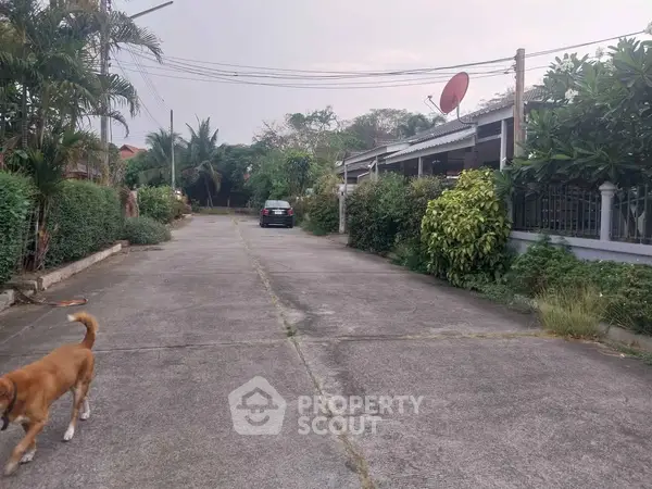 image_rental-26481169