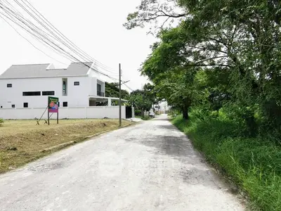 Charming suburban street with modern white house and lush greenery