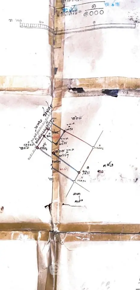 image_rental-31416802