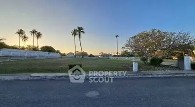 Spacious plot of land with palm trees and serene sunset view, ideal for development.