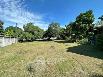 Spacious green garden with lush trees and clear blue sky, perfect for outdoor activities.