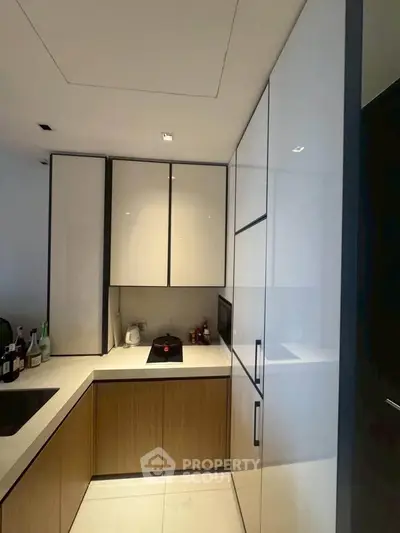 Modern kitchen with sleek cabinetry and integrated appliances in a compact layout.