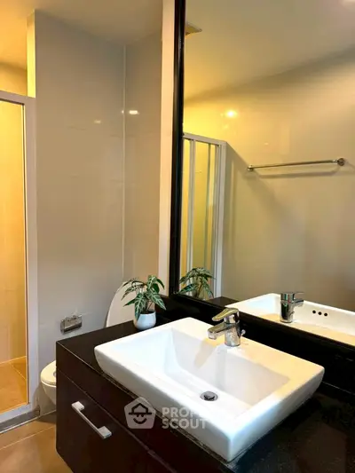 Modern bathroom with sleek sink and mirror, featuring a stylish plant for a touch of elegance.
