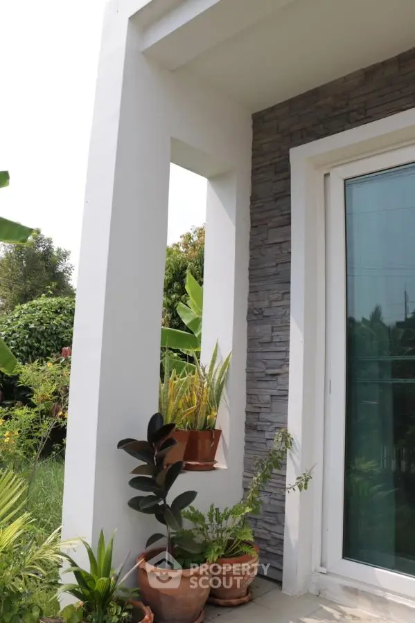 Modern home entrance with stylish stone wall and lush potted plants