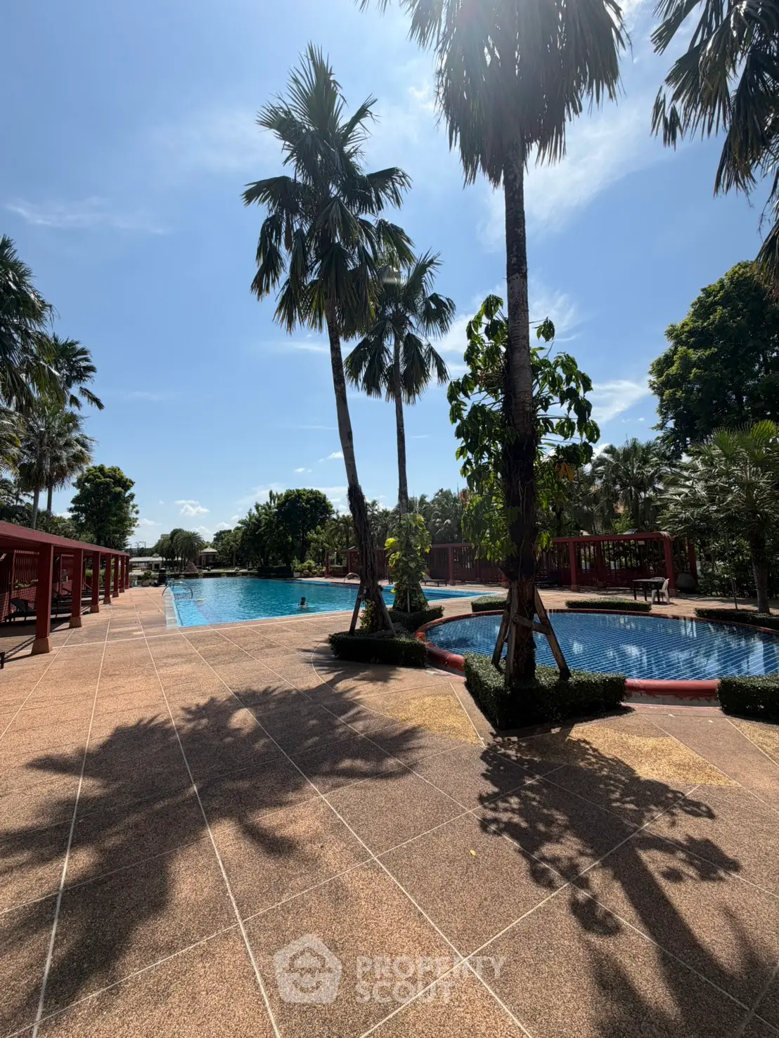 Luxurious outdoor pool area with palm trees and sunny skies, perfect for relaxation and leisure.