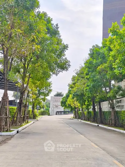 image_rental-29382289