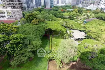 Stunning aerial view of lush green park surrounded by urban skyscrapers, offering a serene escape in the city.