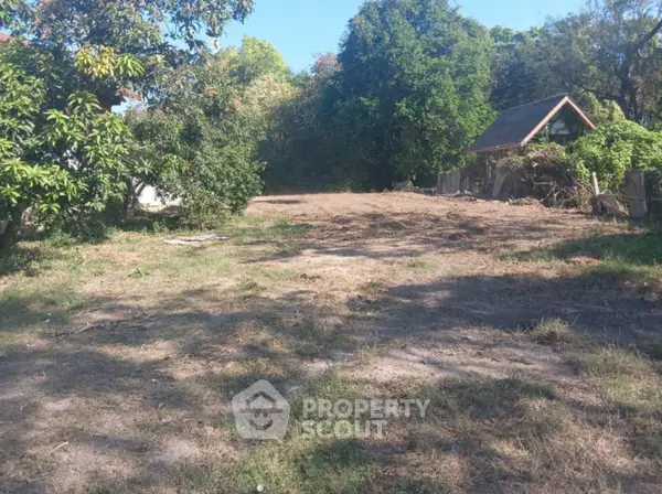 image_rental-31467687