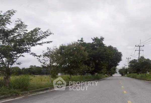 image_rental-24946908