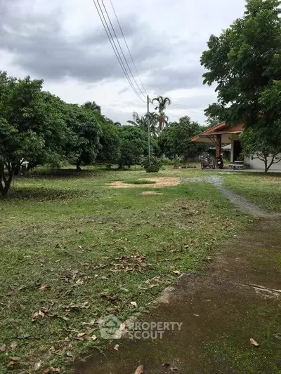 image_rental-31050734