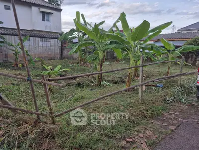 Spacious garden area with banana trees in a suburban neighborhood