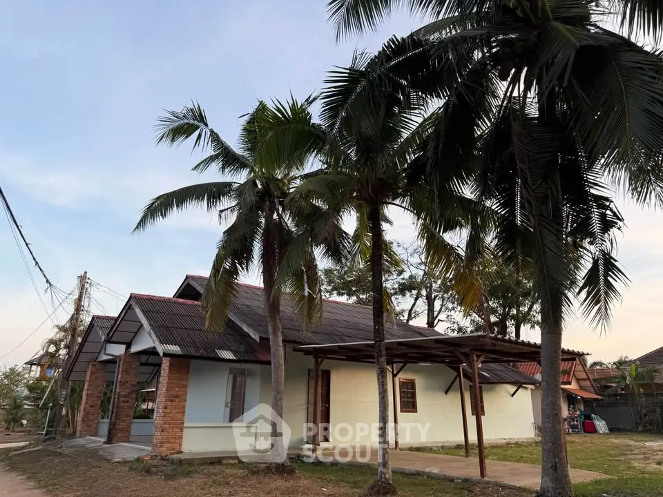 Charming tropical-style house with palm trees and rustic brick accents, perfect for serene living.