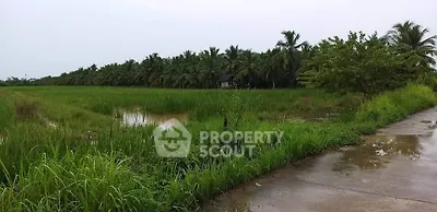 Expansive green field with lush palm trees, ideal for agricultural development.