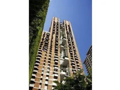 image_rental-30651879