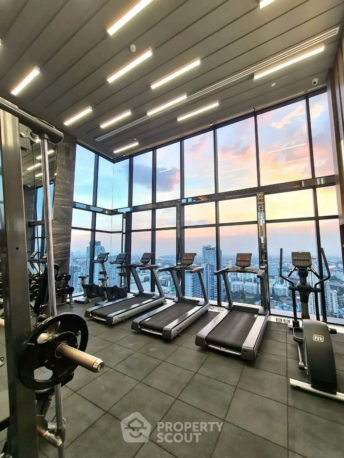 Luxurious high-rise gym with panoramic city views and modern fitness equipment.