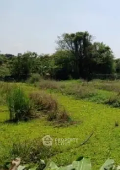 Screenshot_11-6-2025_193336_check.propertyscout.co.th.jpeg