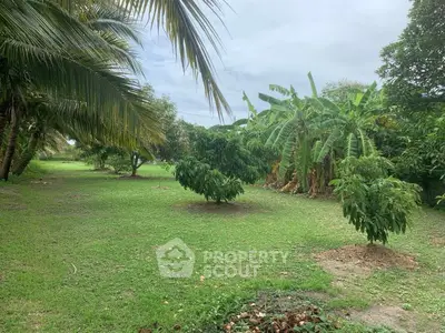 Lush tropical garden with palm and banana trees, perfect for serene outdoor living.