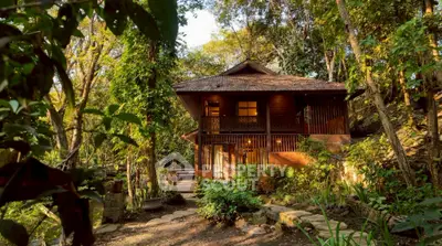 image_rental-27708987