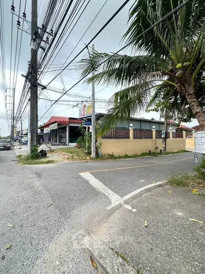 Street view of commercial property with palm tree and power lines