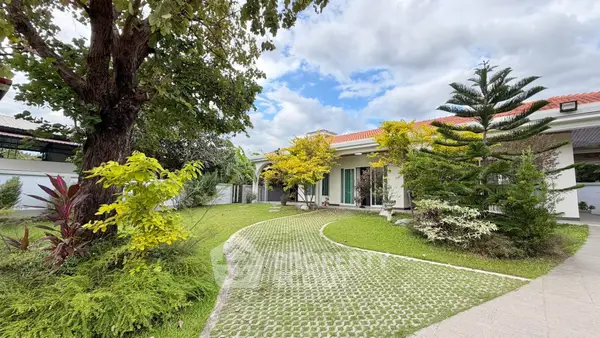 image_rental-27981977