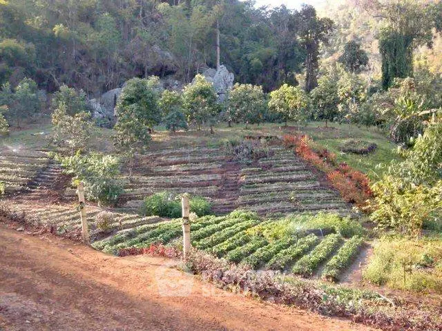 Scenic terraced garden landscape with lush greenery and vibrant plants, ideal for eco-friendly real estate development.