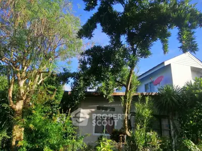 image_rental-28671465