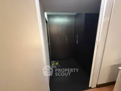 Spacious storage area with sleek dark wood cabinets and modern design.